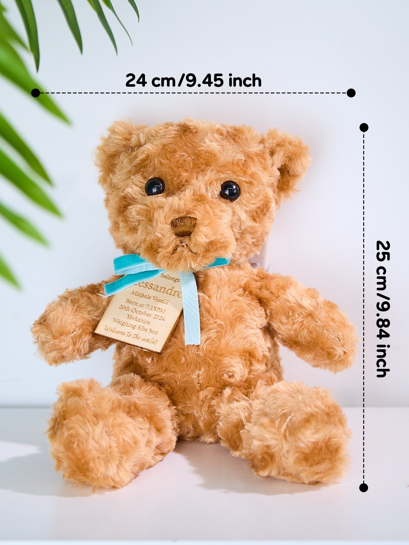 Personalized Bear Plush Birth Stats Stuffed Animal Birth Announcement Gifts - DigiVirt