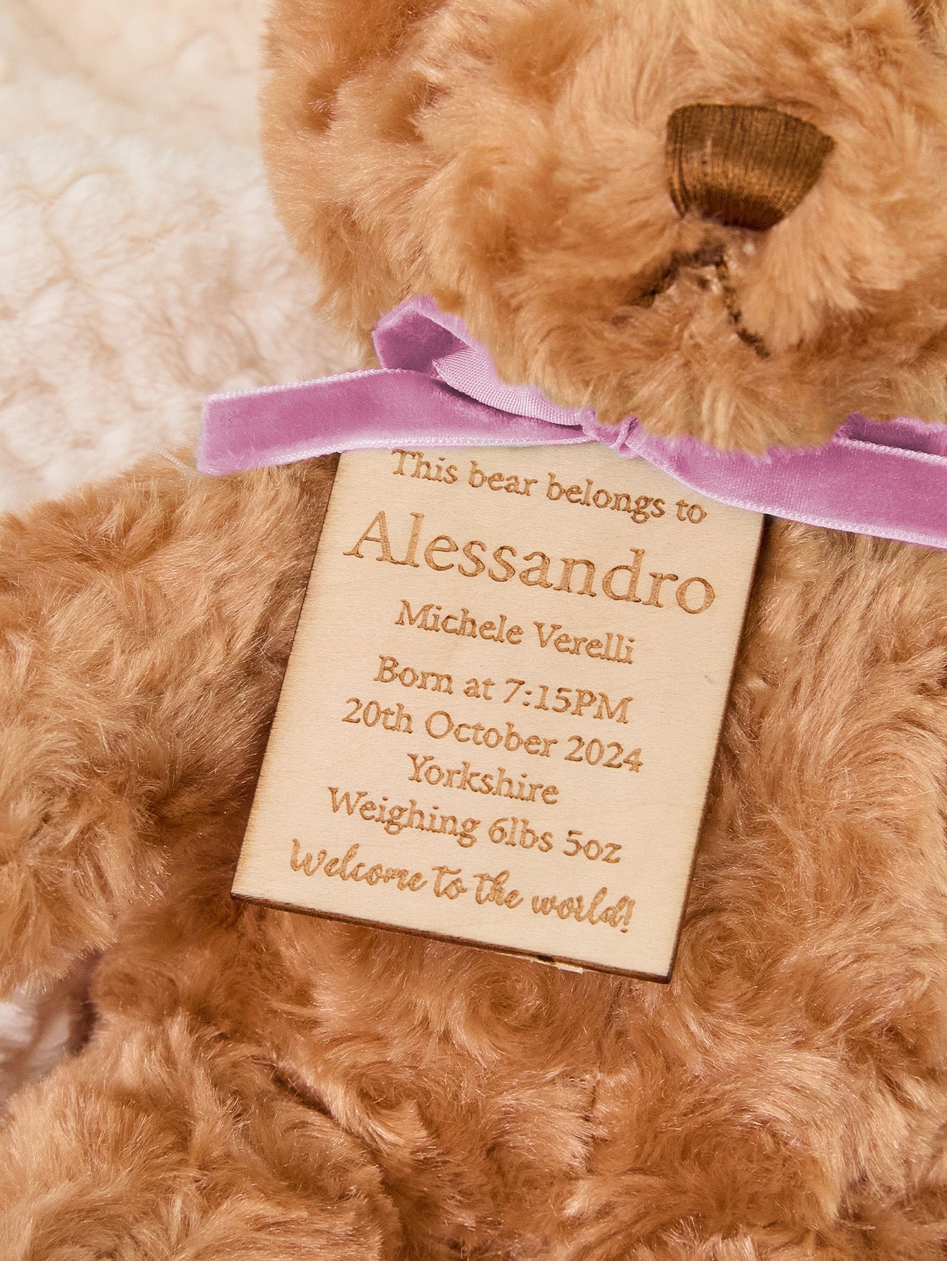 Personalized Bear Plush Birth Stats Stuffed Animal Birth Announcement Gifts - DigiVirt