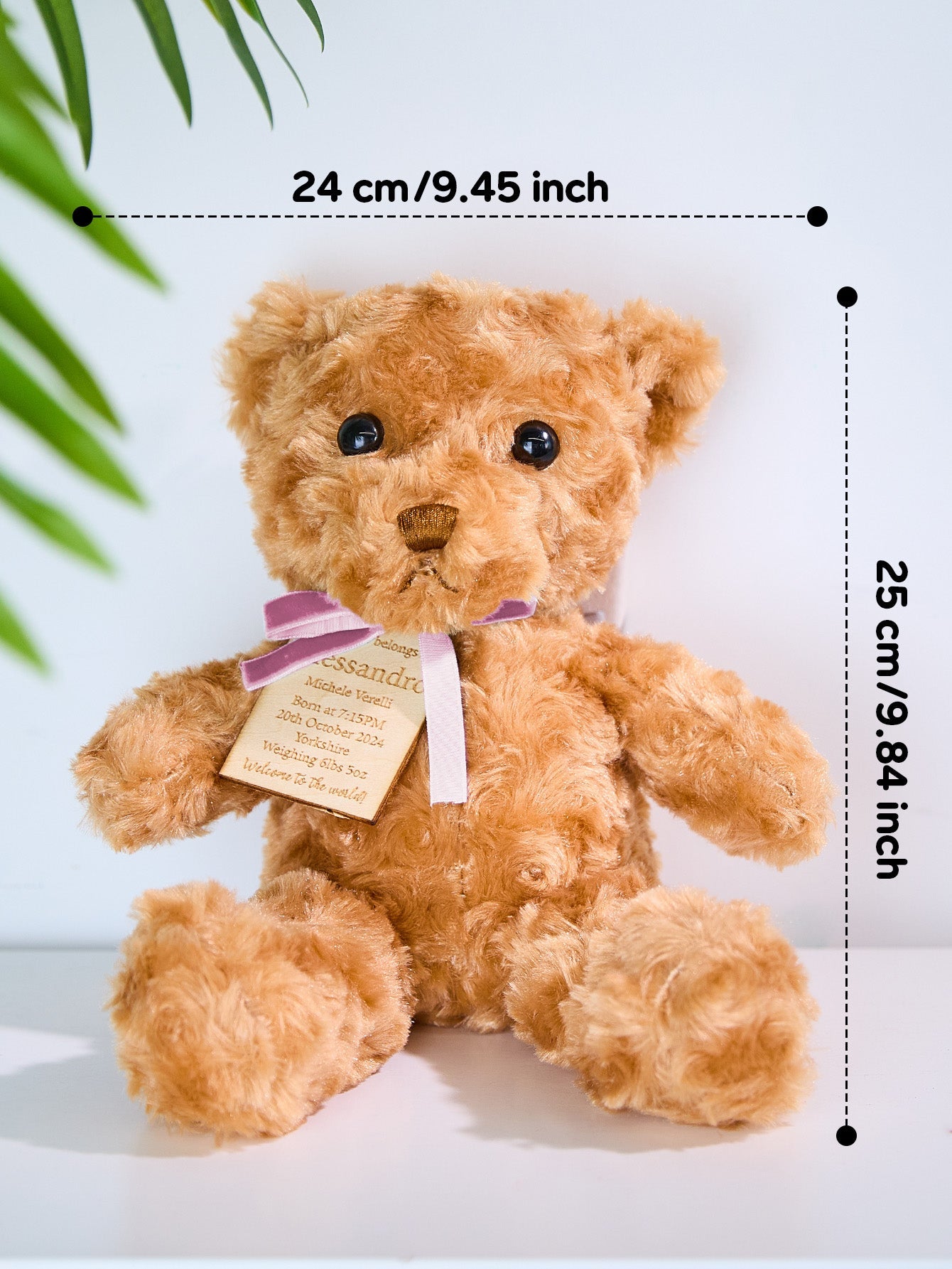 Personalized Bear Plush Birth Stats Stuffed Animal Birth Announcement Gifts - DigiVirt