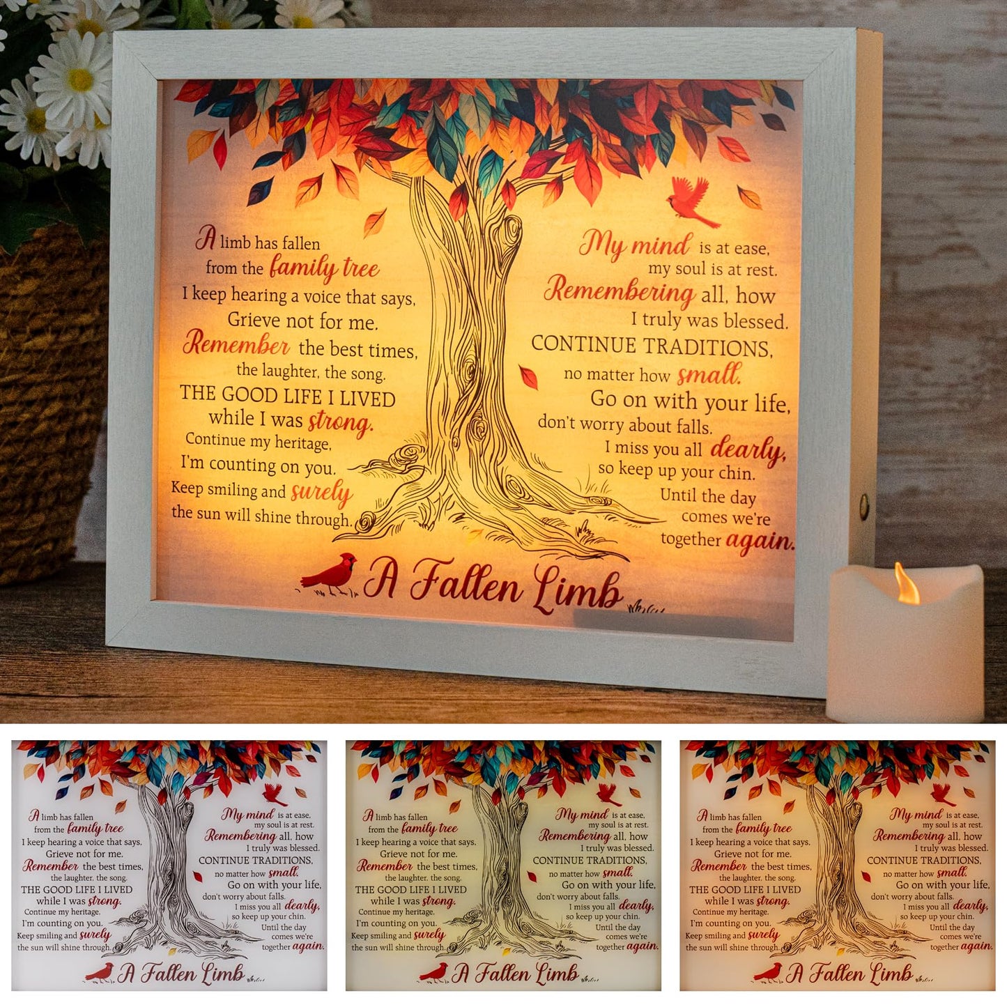 Sympathy Gift LED Memorial Shadow Box Memorial Gifts for Loss of Loved One Mother Mom Dad Father, in Memory of Loved One Gifts