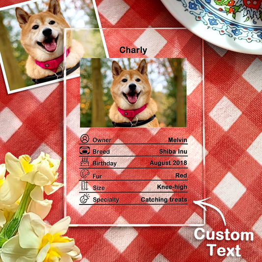 Custom Photo Acrylic Plaque Personalized Pet Information Desk Decorative Ornaments - 12*16cm - DigiVirt