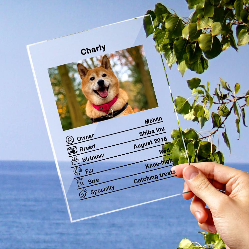 Custom Photo Acrylic Plaque Personalized Pet Information Desk Decorative Ornaments - 12*16cm - DigiVirt