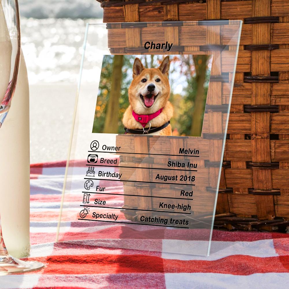 Custom Photo Acrylic Plaque Personalized Pet Information Desk Decorative Ornaments - 12*16cm - DigiVirt