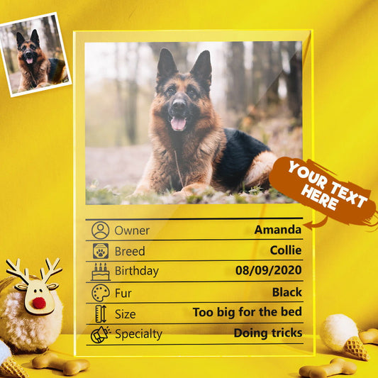Customized Photo Clear Plaque Personalized Pet Information Acrylic Desktop Decoration - DigiVirt