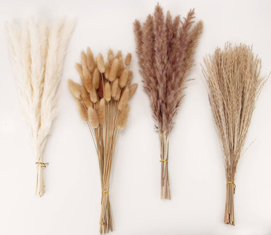 Dried Pampas Grass Decor, 100 PCS Pampas Grass Contains Bunny Tails Dried Flowers, Reed Grass Bouquet for Wedding Boho Flowers Home Table Decor, Rustic Farmhouse Party (White and Brown) - DigiVirt