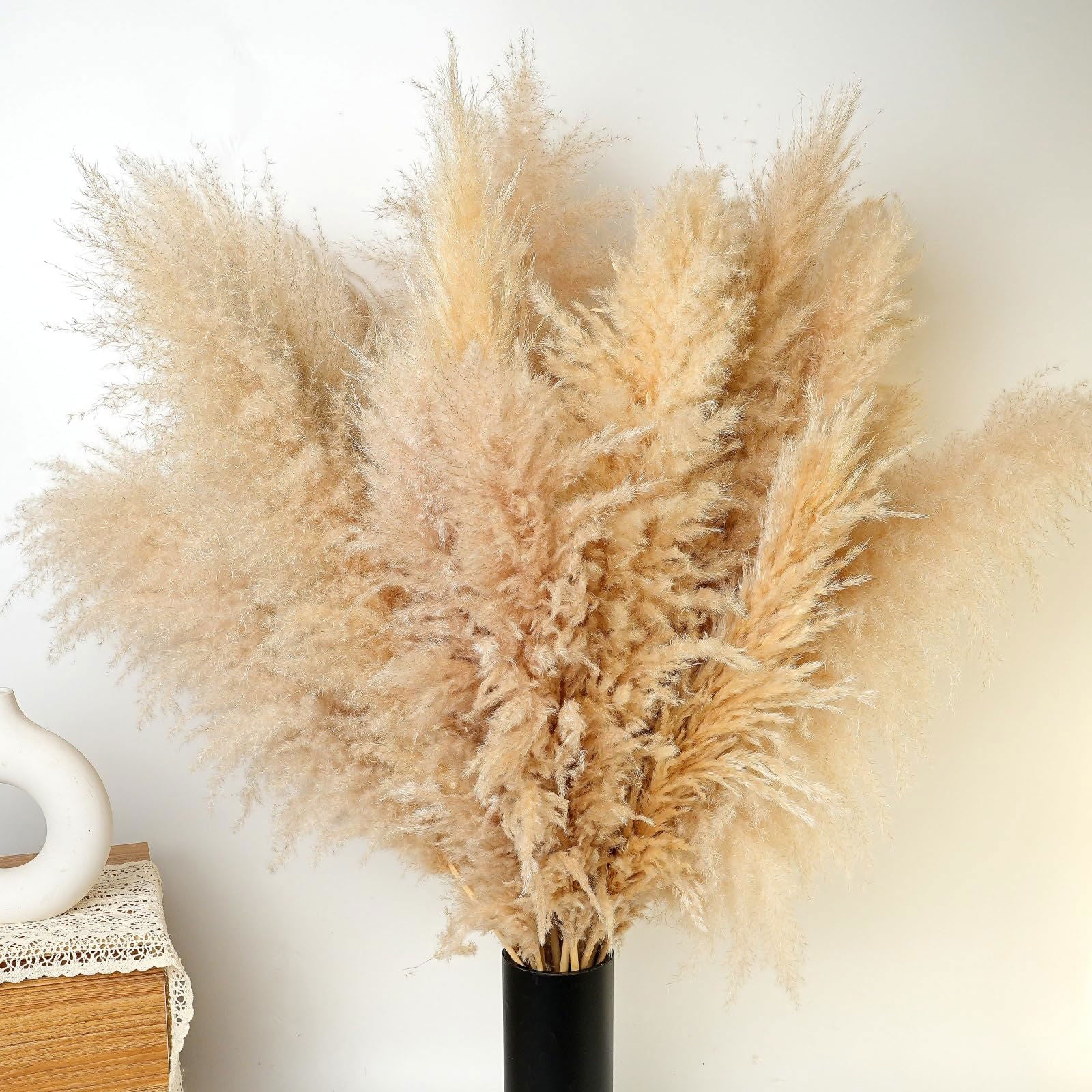 Dried Pampas Grass Decor, 100 PCS Pampas Grass Contains Bunny Tails Dried Flowers, Reed Grass Bouquet for Wedding Boho Flowers Home Table Decor, Rustic Farmhouse Party (White and Brown) - DigiVirt