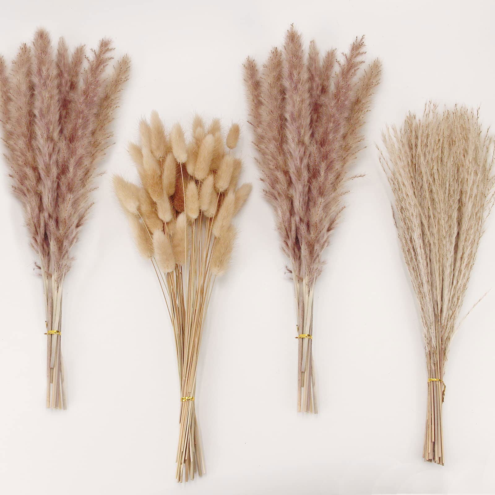 Dried Pampas Grass Decor, 100 PCS Pampas Grass Contains Bunny Tails Dried Flowers, Reed Grass Bouquet for Wedding Boho Flowers Home Table Decor, Rustic Farmhouse Party (White and Brown) - DigiVirt