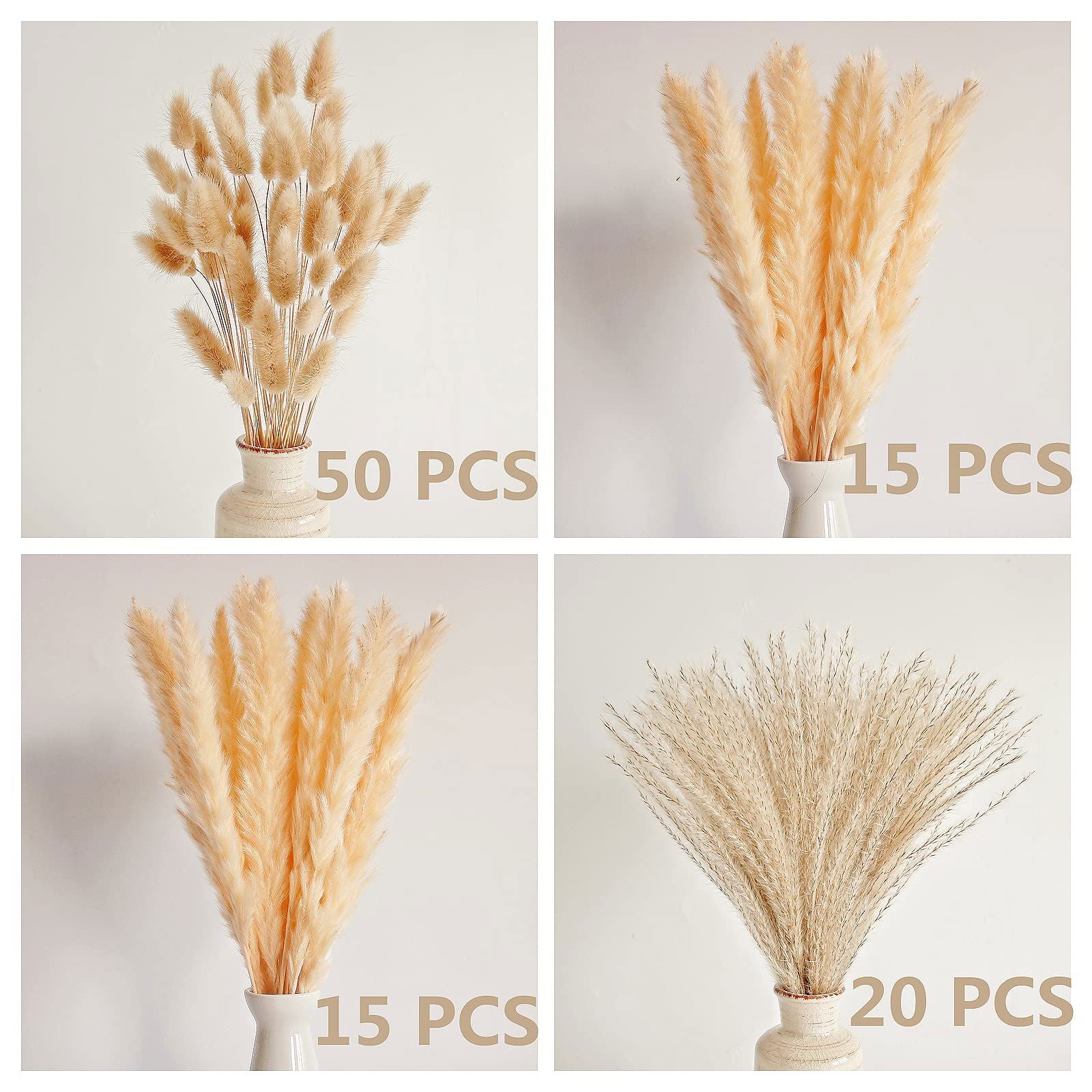 Dried Pampas Grass Decor, 100 PCS Pampas Grass Contains Bunny Tails Dried Flowers, Reed Grass Bouquet for Wedding Boho Flowers Home Table Decor, Rustic Farmhouse Party (White and Brown) - DigiVirt