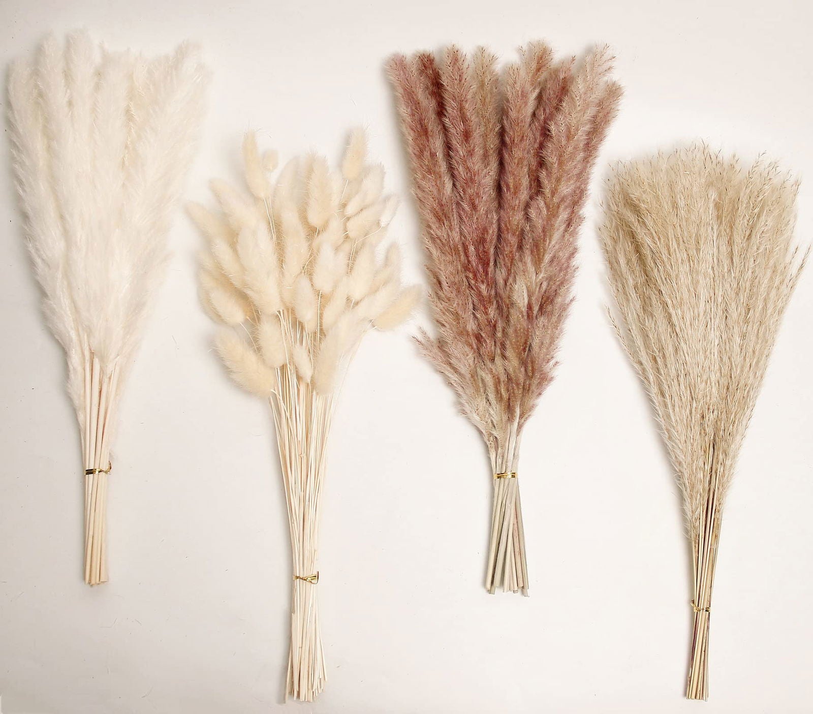 Dried Pampas Grass Decor, 100 PCS Pampas Grass Contains Bunny Tails Dried Flowers, Reed Grass Bouquet for Wedding Boho Flowers Home Table Decor, Rustic Farmhouse Party (White and Brown) - DigiVirt