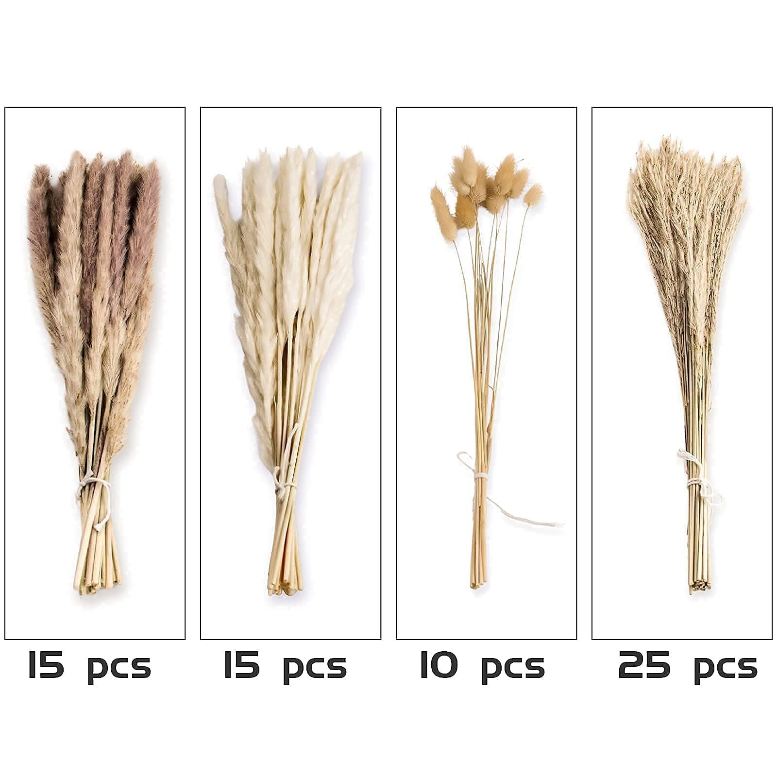 Dried Pampas Grass Decor, 100 PCS Pampas Grass Contains Bunny Tails Dried Flowers, Reed Grass Bouquet for Wedding Boho Flowers Home Table Decor, Rustic Farmhouse Party (White and Brown) - DigiVirt