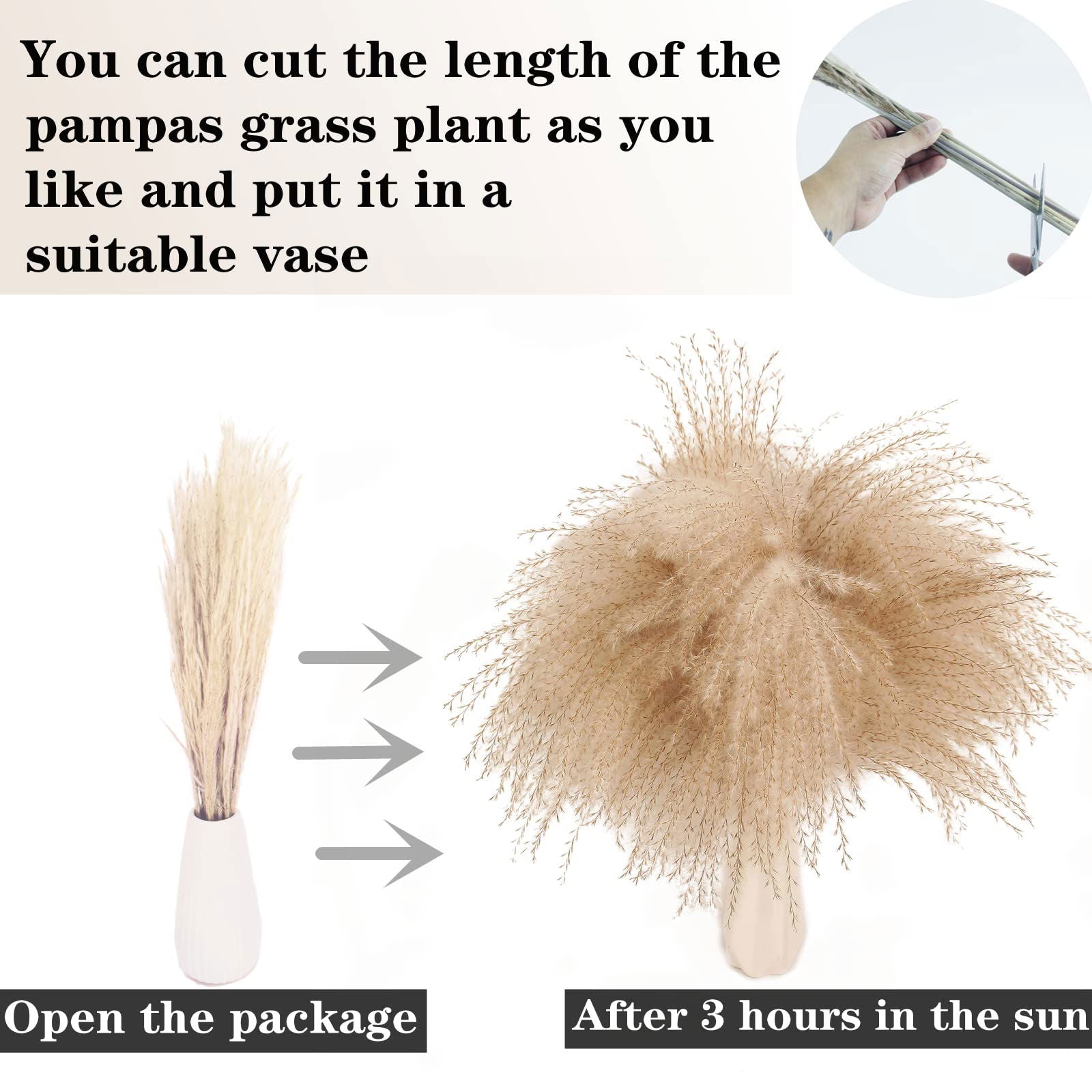 Dried Pampas Grass Decor, 100 PCS Pampas Grass Contains Bunny Tails Dried Flowers, Reed Grass Bouquet for Wedding Boho Flowers Home Table Decor, Rustic Farmhouse Party (White and Brown) - DigiVirt