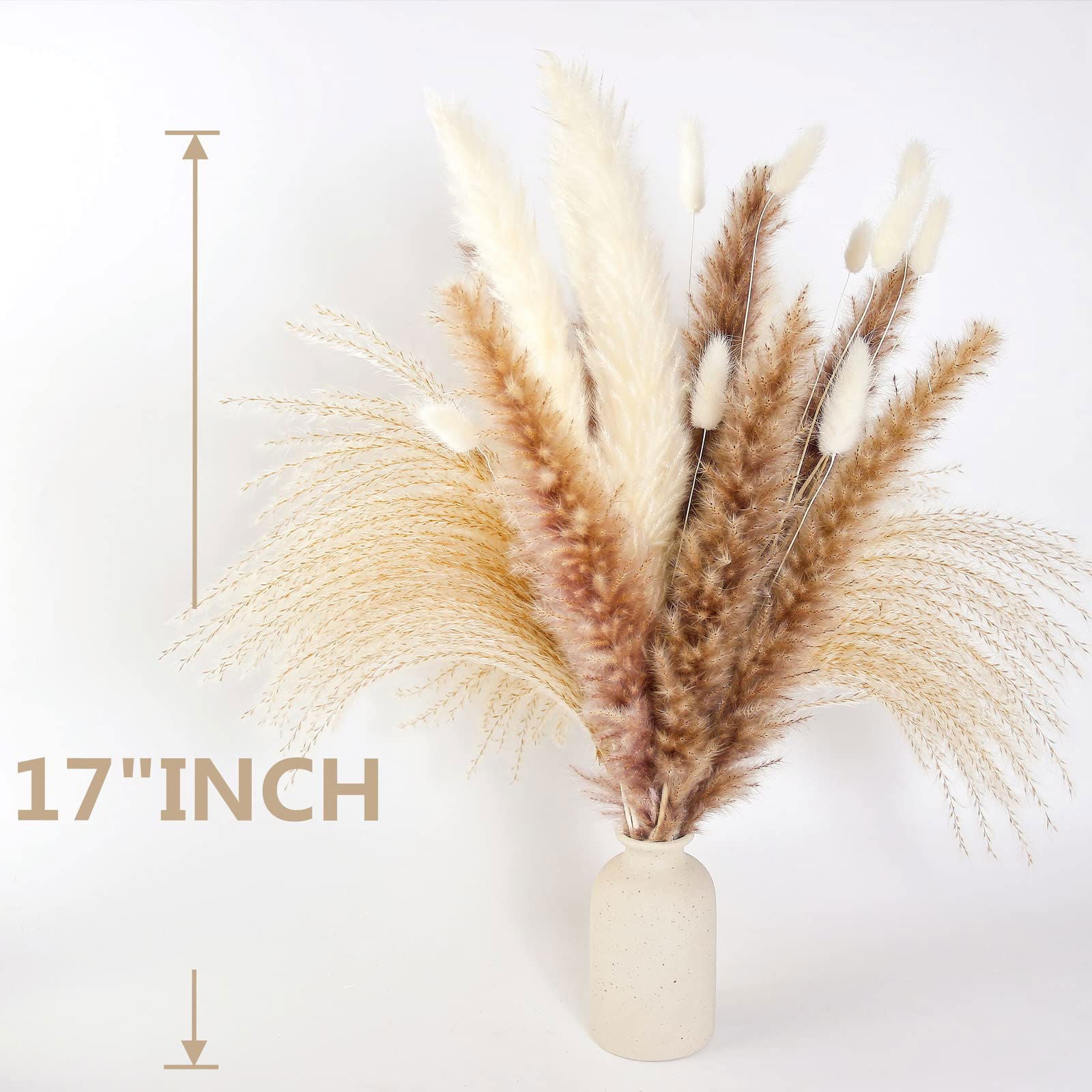 Dried Pampas Grass Decor, 100 PCS Pampas Grass Contains Bunny Tails Dried Flowers, Reed Grass Bouquet for Wedding Boho Flowers Home Table Decor, Rustic Farmhouse Party (White and Brown) - DigiVirt