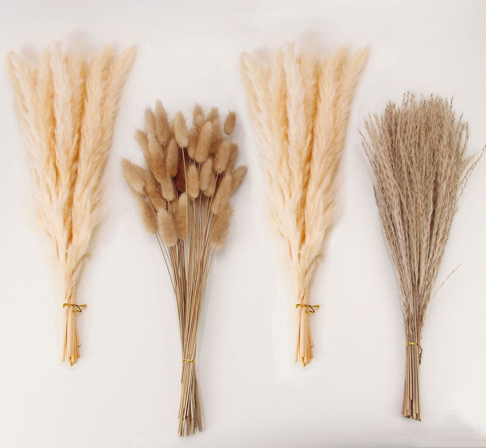 Dried Pampas Grass Decor, 100 PCS Pampas Grass Contains Bunny Tails Dried Flowers, Reed Grass Bouquet for Wedding Boho Flowers Home Table Decor, Rustic Farmhouse Party (White and Brown) - DigiVirt
