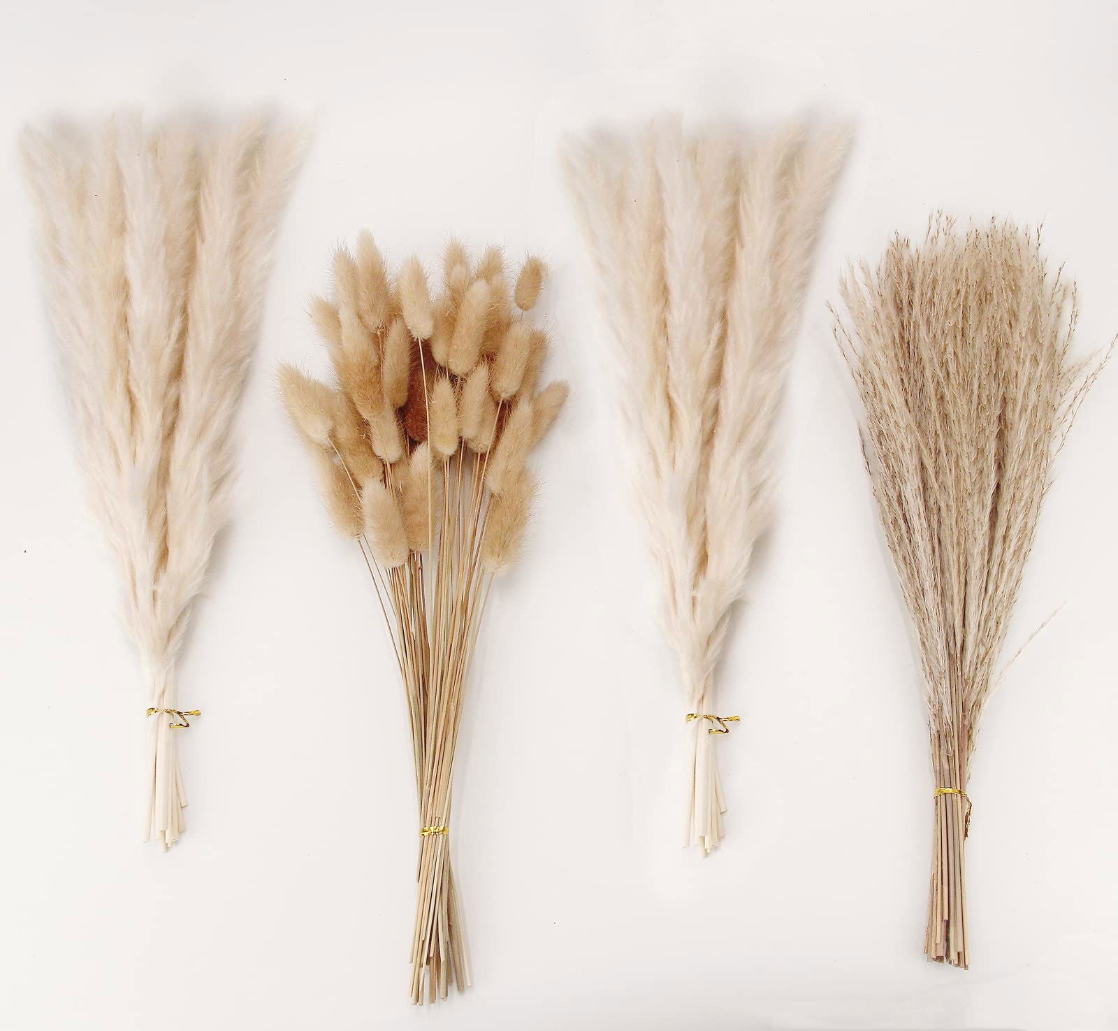 Dried Pampas Grass Decor, 100 PCS Pampas Grass Contains Bunny Tails Dried Flowers, Reed Grass Bouquet for Wedding Boho Flowers Home Table Decor, Rustic Farmhouse Party (White and Brown) - DigiVirt