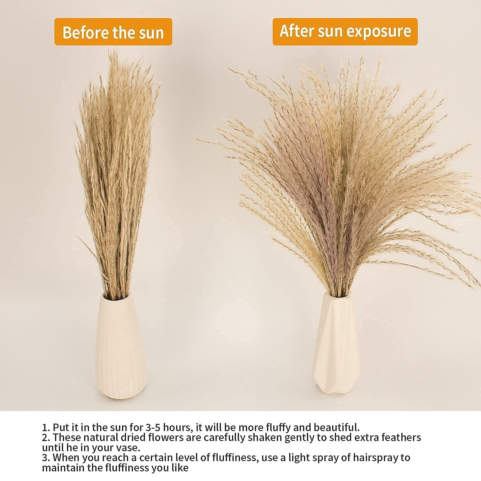 Dried Pampas Grass Decor, 100 PCS Pampas Grass Contains Bunny Tails Dried Flowers, Reed Grass Bouquet for Wedding Boho Flowers Home Table Decor, Rustic Farmhouse Party (White and Brown) - DigiVirt