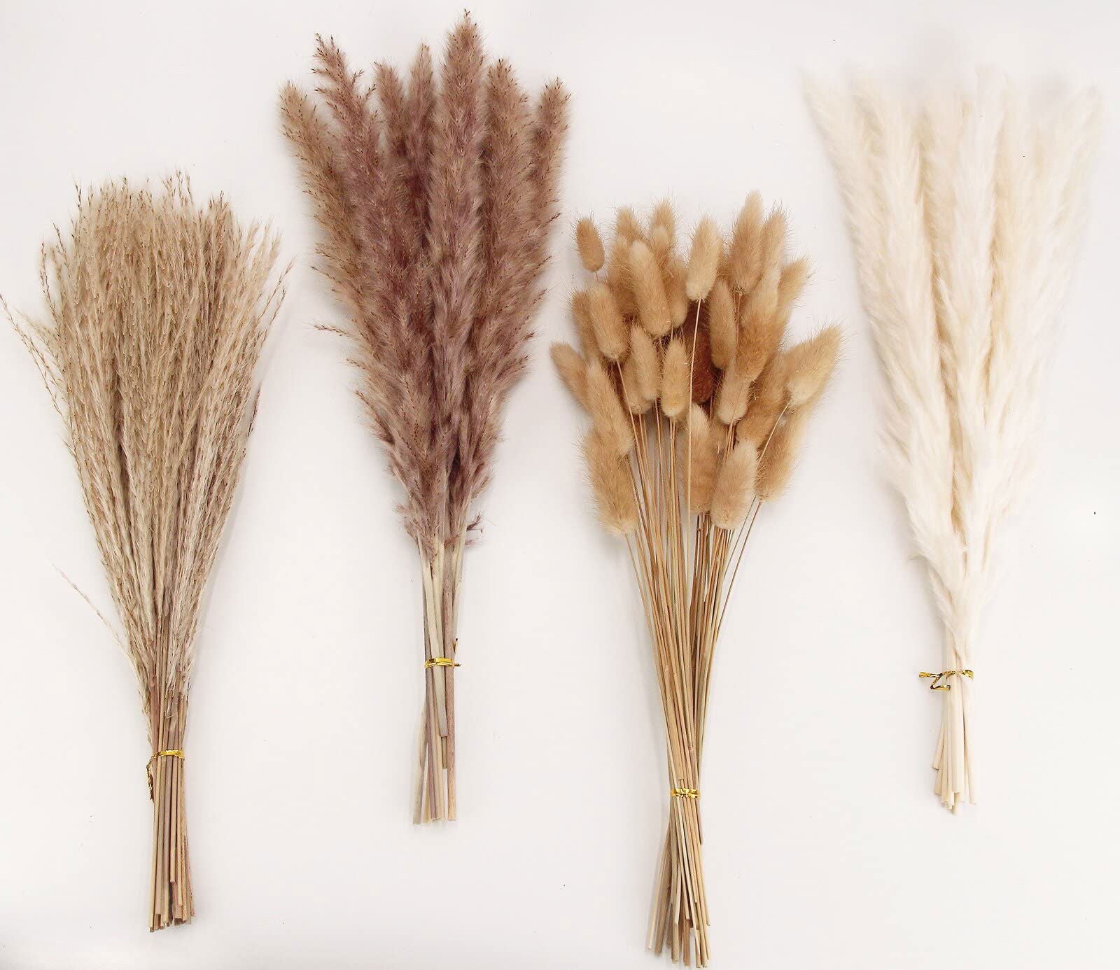 Dried Pampas Grass Decor, 100 PCS Pampas Grass Contains Bunny Tails Dried Flowers, Reed Grass Bouquet for Wedding Boho Flowers Home Table Decor, Rustic Farmhouse Party (White and Brown) - DigiVirt