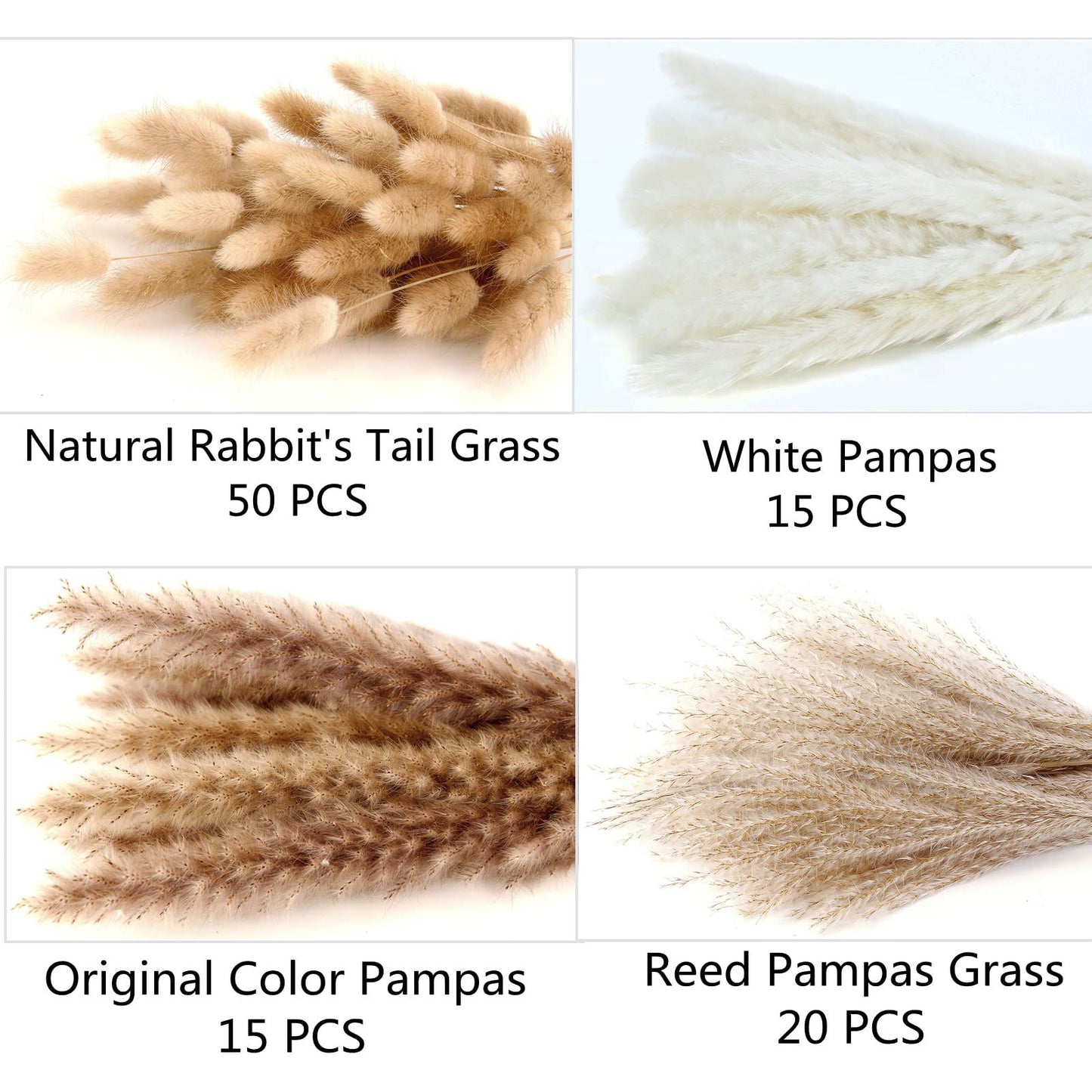 Dried Pampas Grass Decor, 100 PCS Pampas Grass Contains Bunny Tails Dried Flowers, Reed Grass Bouquet for Wedding Boho Flowers Home Table Decor, Rustic Farmhouse Party (White and Brown) - DigiVirt