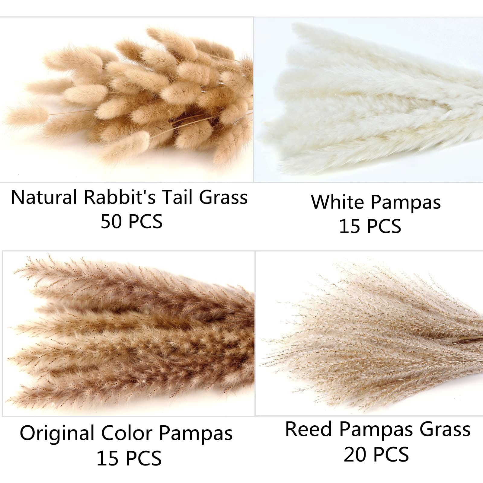 Dried Pampas Grass Decor, 100 PCS Pampas Grass Contains Bunny Tails Dried Flowers, Reed Grass Bouquet for Wedding Boho Flowers Home Table Decor, Rustic Farmhouse Party (White and Brown) - DigiVirt