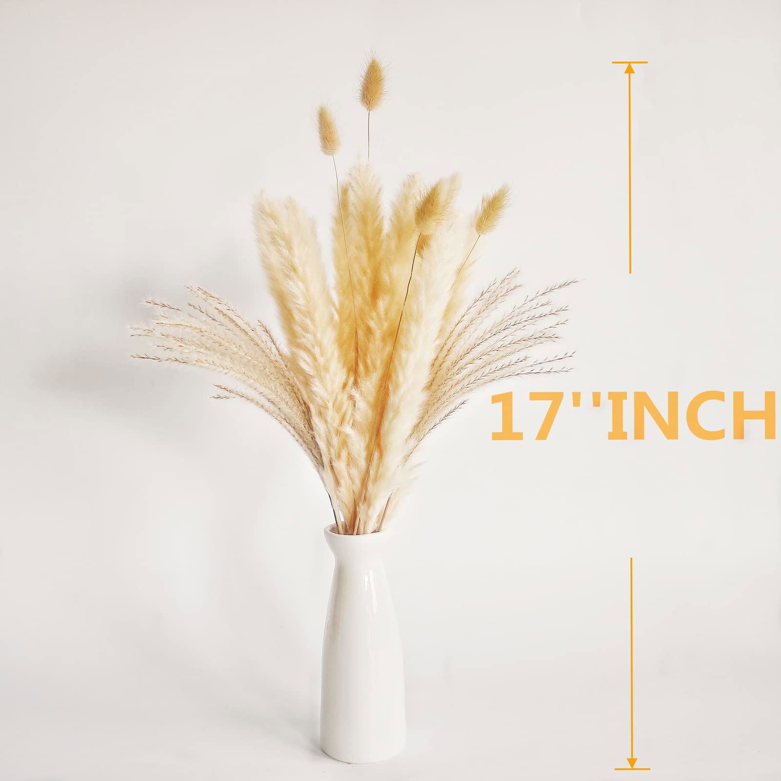 Dried Pampas Grass Decor, 100 PCS Pampas Grass Contains Bunny Tails Dried Flowers, Reed Grass Bouquet for Wedding Boho Flowers Home Table Decor, Rustic Farmhouse Party (White and Brown) - DigiVirt