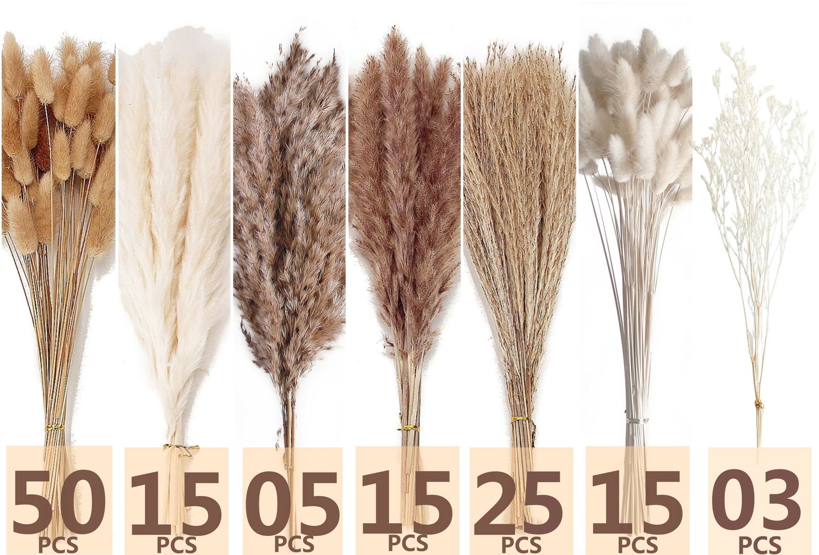 Dried Pampas Grass Decor, 100 PCS Pampas Grass Contains Bunny Tails Dried Flowers, Reed Grass Bouquet for Wedding Boho Flowers Home Table Decor, Rustic Farmhouse Party (White and Brown) - DigiVirt