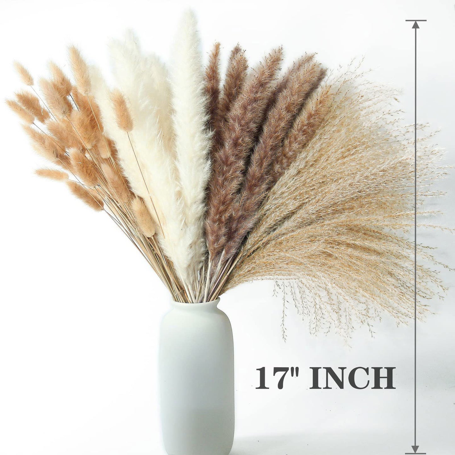 Dried Pampas Grass Decor, 100 PCS Pampas Grass Contains Bunny Tails Dried Flowers, Reed Grass Bouquet for Wedding Boho Flowers Home Table Decor, Rustic Farmhouse Party (White and Brown) - DigiVirt