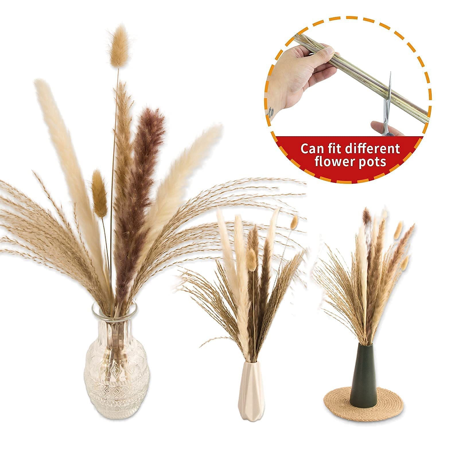 Dried Pampas Grass Decor, 100 PCS Pampas Grass Contains Bunny Tails Dried Flowers, Reed Grass Bouquet for Wedding Boho Flowers Home Table Decor, Rustic Farmhouse Party (White and Brown) - DigiVirt