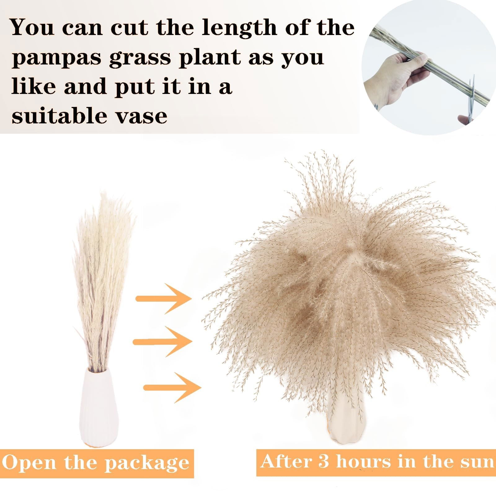 Dried Pampas Grass Decor, 100 PCS Pampas Grass Contains Bunny Tails Dried Flowers, Reed Grass Bouquet for Wedding Boho Flowers Home Table Decor, Rustic Farmhouse Party (White and Brown) - DigiVirt