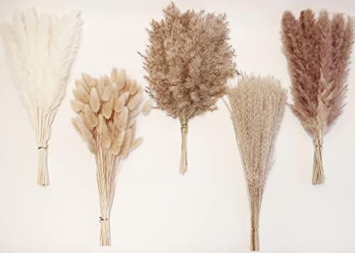 Dried Pampas Grass Decor, 100 PCS Pampas Grass Contains Bunny Tails Dried Flowers, Reed Grass Bouquet for Wedding Boho Flowers Home Table Decor, Rustic Farmhouse Party (White and Brown) - DigiVirt