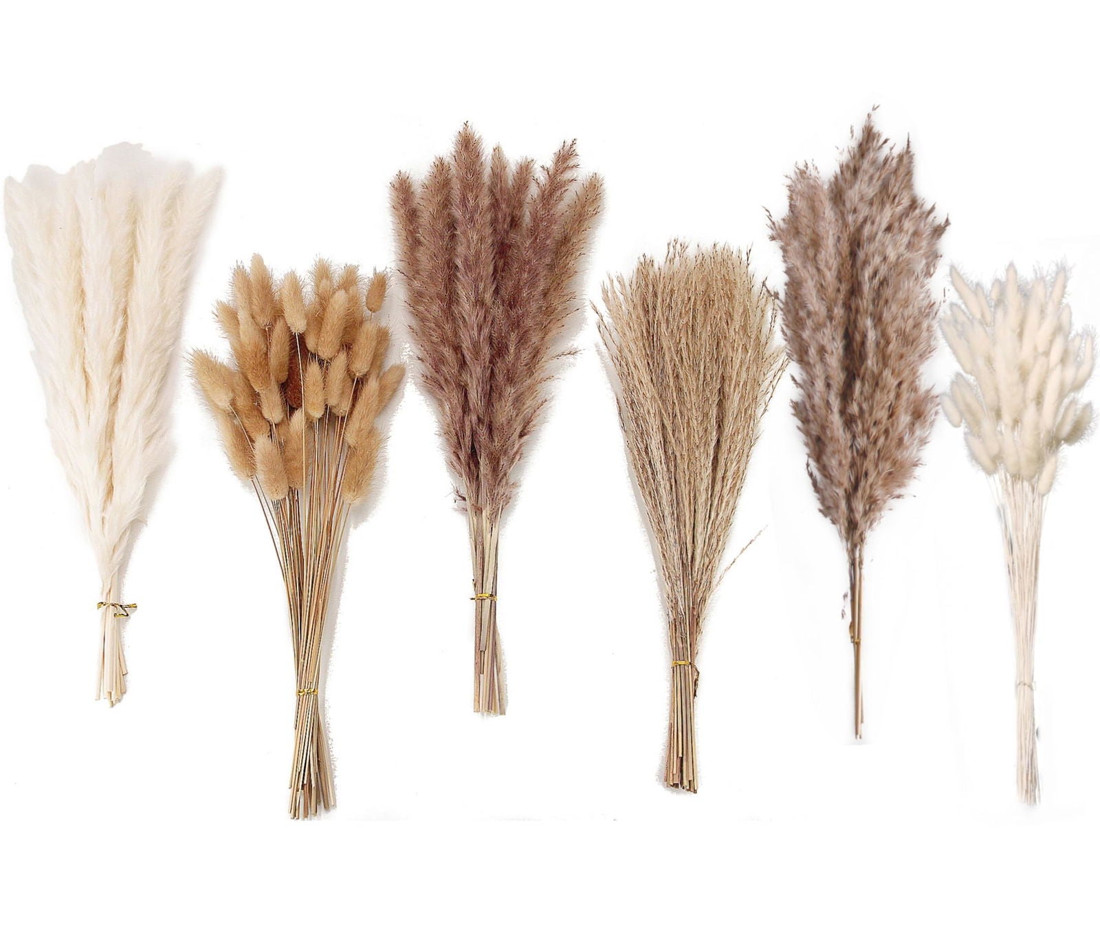 Dried Pampas Grass Decor, 100 PCS Pampas Grass Contains Bunny Tails Dried Flowers, Reed Grass Bouquet for Wedding Boho Flowers Home Table Decor, Rustic Farmhouse Party (White and Brown) - DigiVirt