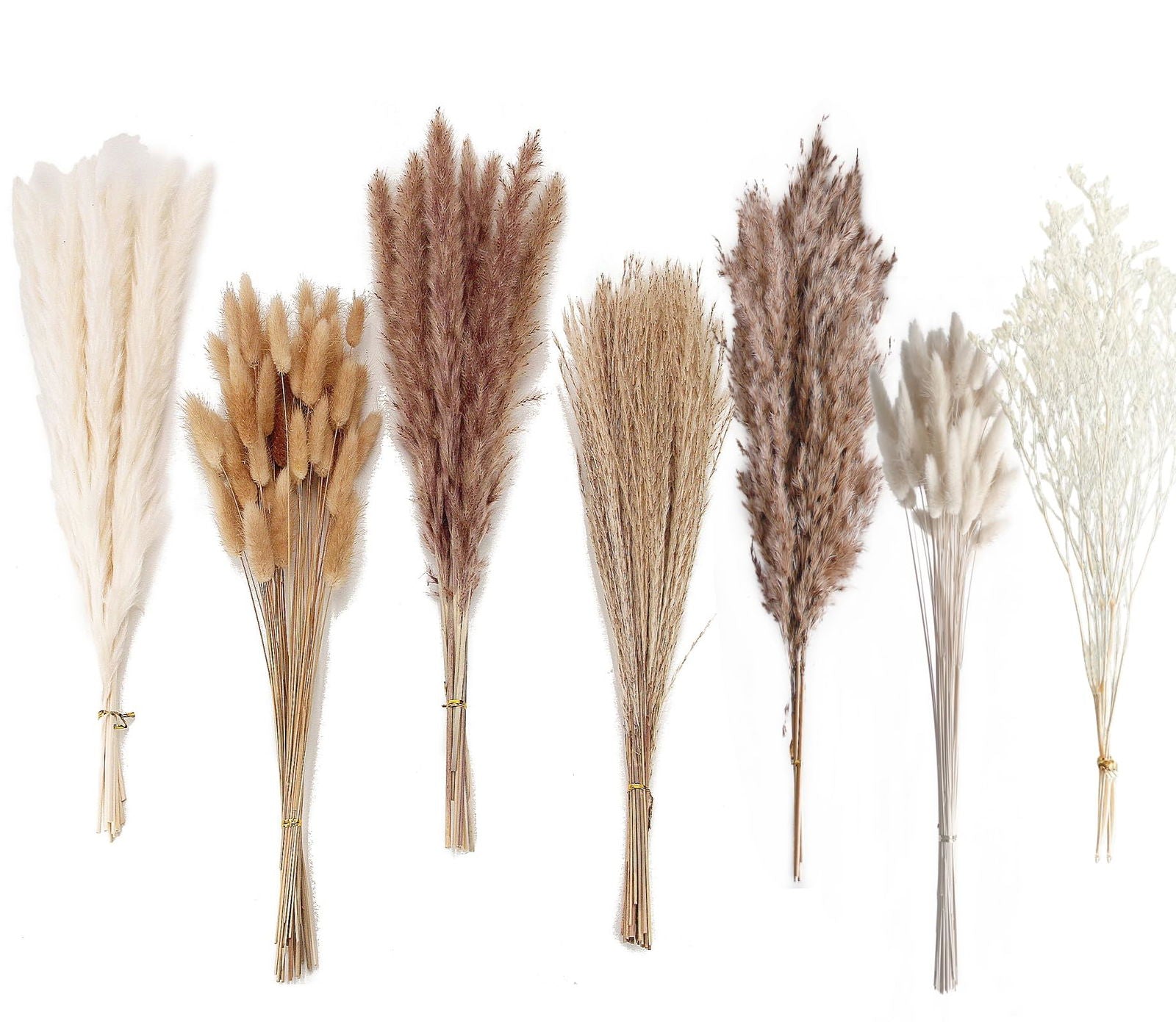 Dried Pampas Grass Decor, 100 PCS Pampas Grass Contains Bunny Tails Dried Flowers, Reed Grass Bouquet for Wedding Boho Flowers Home Table Decor, Rustic Farmhouse Party (White and Brown) - DigiVirt