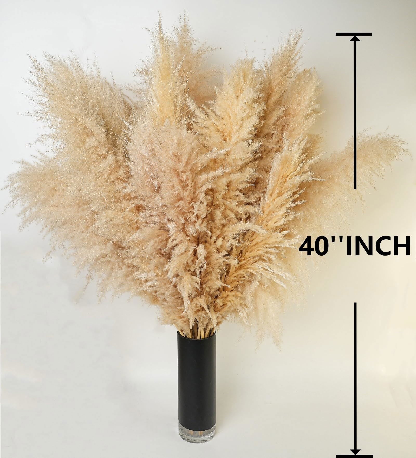Dried Pampas Grass Decor, 100 PCS Pampas Grass Contains Bunny Tails Dried Flowers, Reed Grass Bouquet for Wedding Boho Flowers Home Table Decor, Rustic Farmhouse Party (White and Brown) - DigiVirt