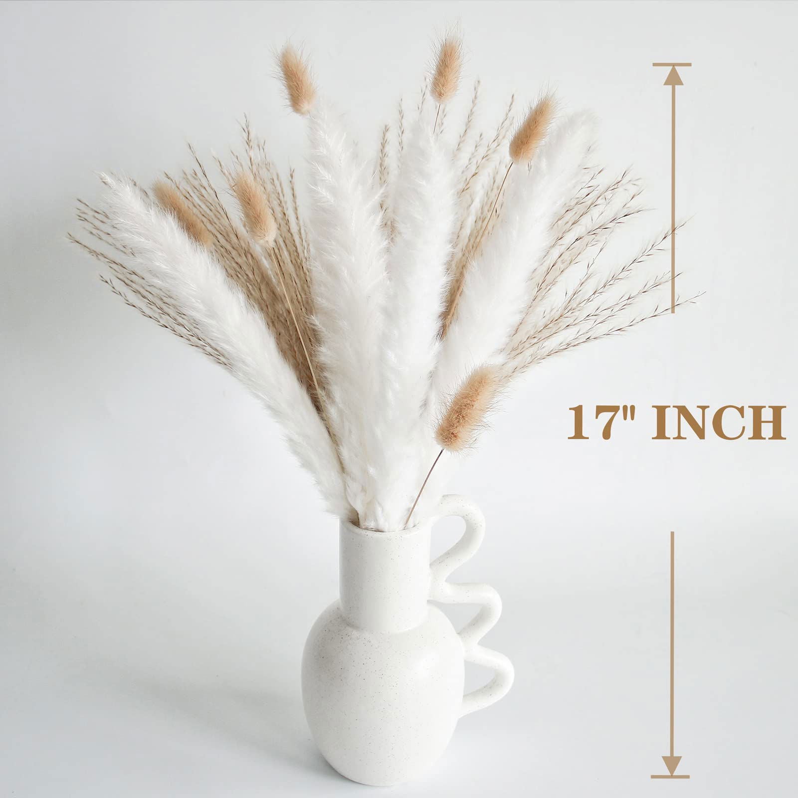 Dried Pampas Grass Decor, 100 PCS Pampas Grass Contains Bunny Tails Dried Flowers, Reed Grass Bouquet for Wedding Boho Flowers Home Table Decor, Rustic Farmhouse Party (White and Brown) - DigiVirt
