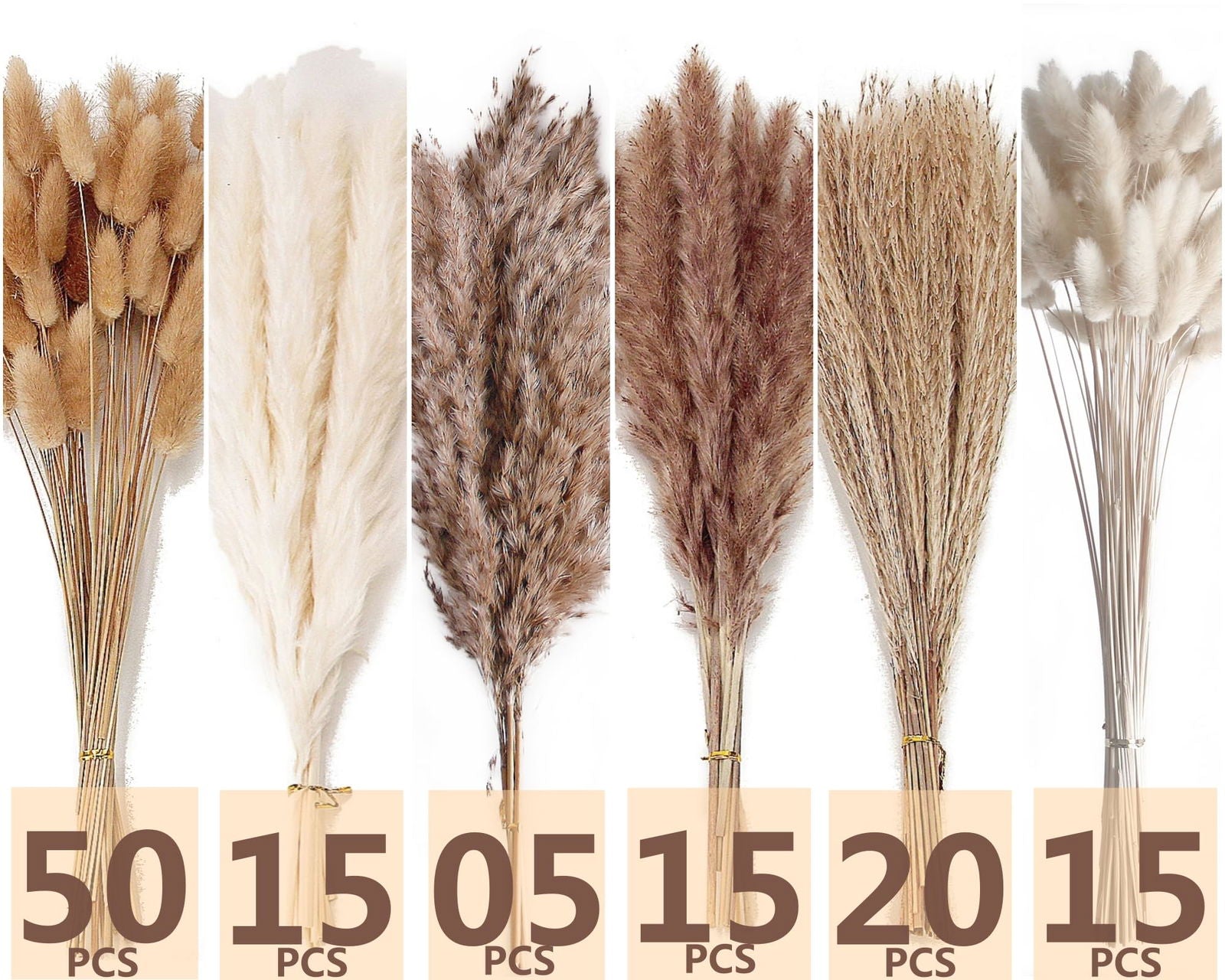 Dried Pampas Grass Decor, 100 PCS Pampas Grass Contains Bunny Tails Dried Flowers, Reed Grass Bouquet for Wedding Boho Flowers Home Table Decor, Rustic Farmhouse Party (White and Brown) - DigiVirt