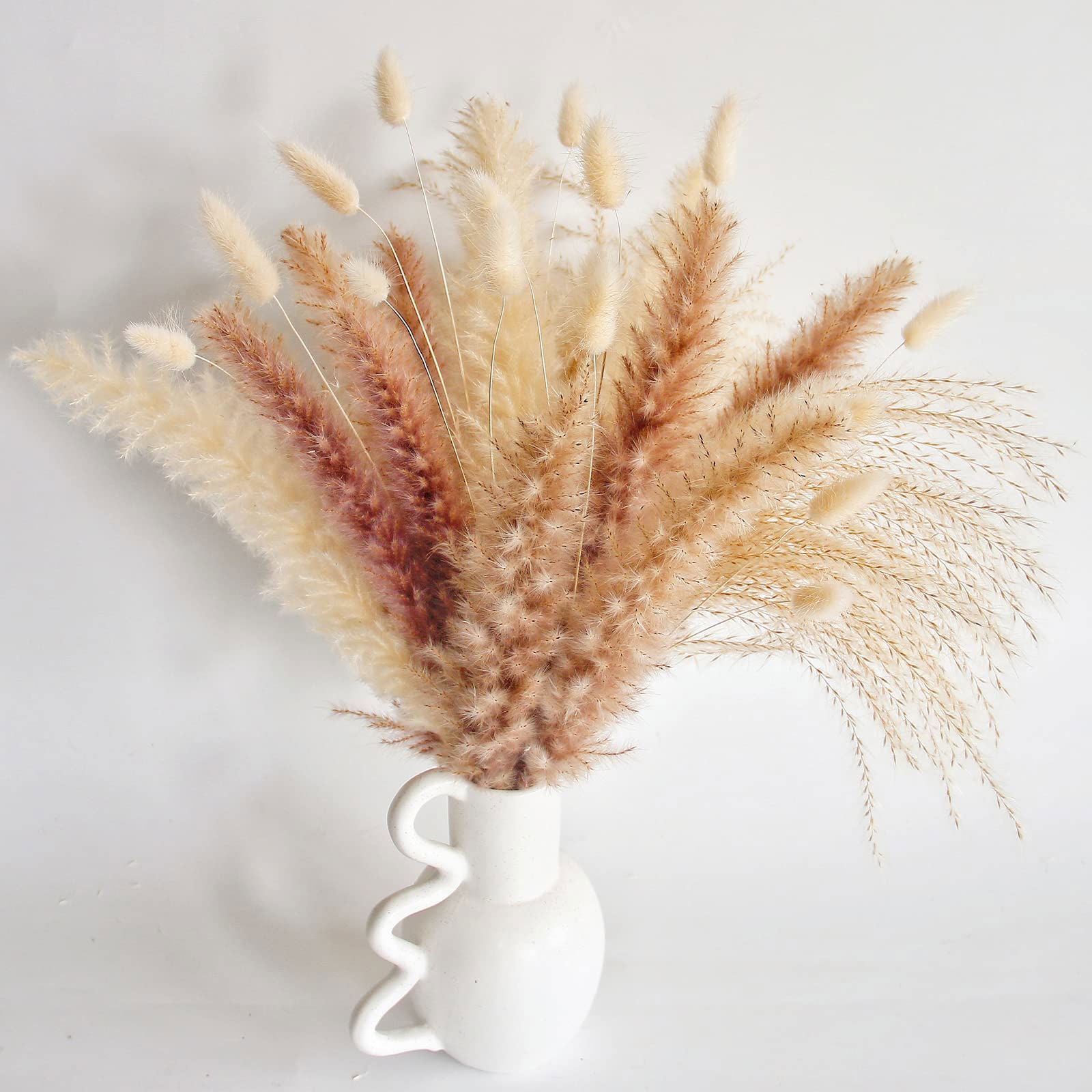 Dried Pampas Grass Decor, 100 PCS Pampas Grass Contains Bunny Tails Dried Flowers, Reed Grass Bouquet for Wedding Boho Flowers Home Table Decor, Rustic Farmhouse Party (White and Brown) - DigiVirt
