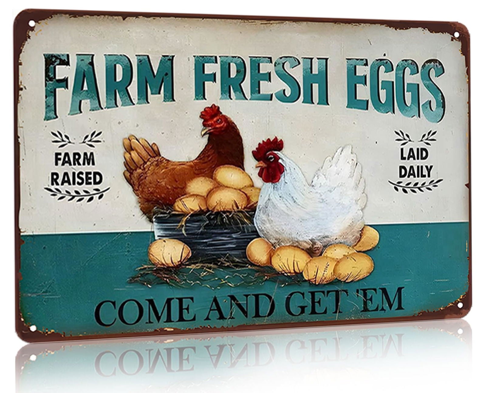 Funny Chicken Cluck Around and Find Out Tin Sign for Home Farm Chicken Coop Farmhouse Kicthen Garden Decor 8 X 12 Inch (3020) - DigiVirt
