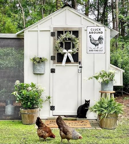 Funny Chicken Cluck Around and Find Out Tin Sign for Home Farm Chicken Coop Farmhouse Kicthen Garden Decor 8 X 12 Inch (3020) - DigiVirt