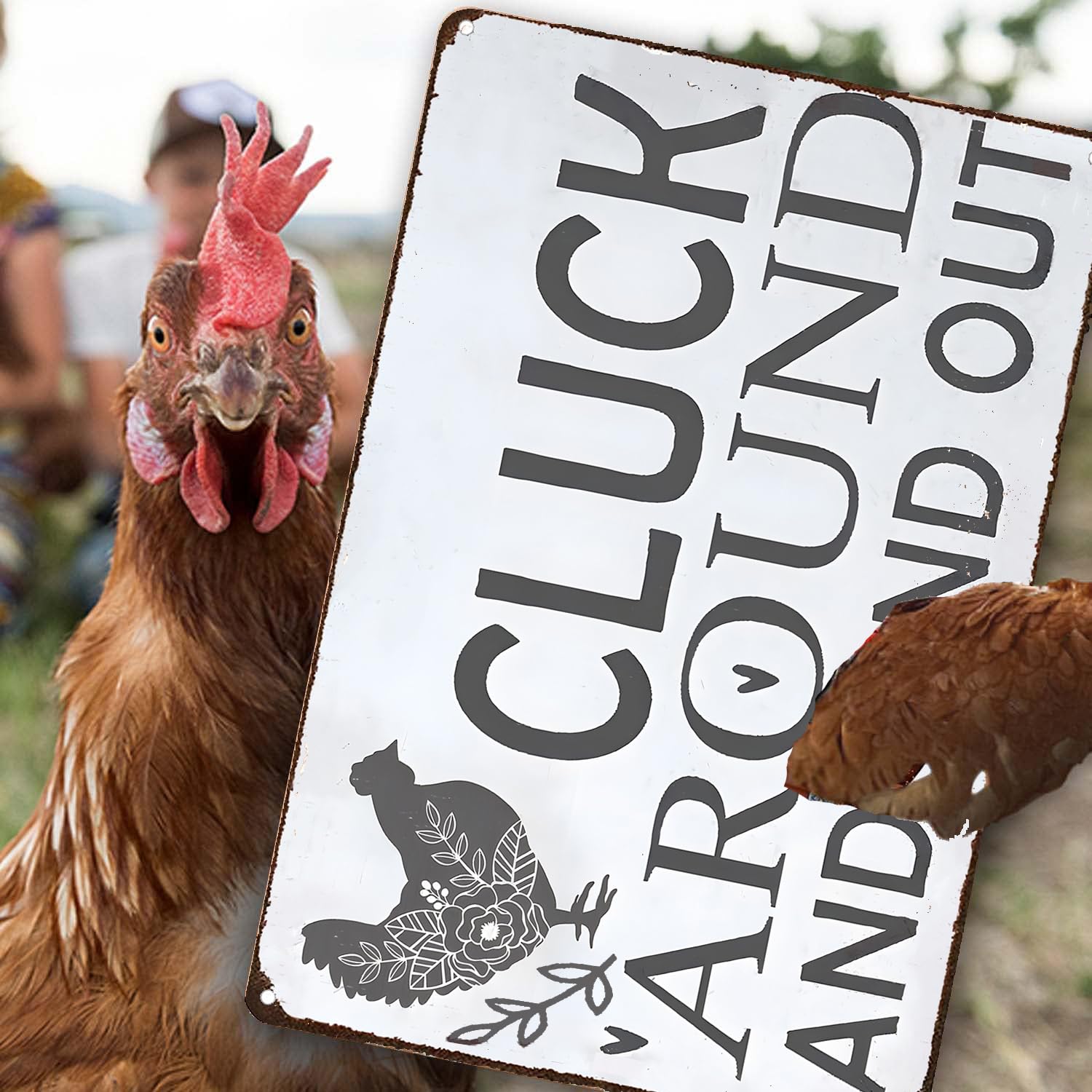Funny Chicken Cluck Around and Find Out Tin Sign for Home Farm Chicken Coop Farmhouse Kicthen Garden Decor 8 X 12 Inch (3020) - DigiVirt