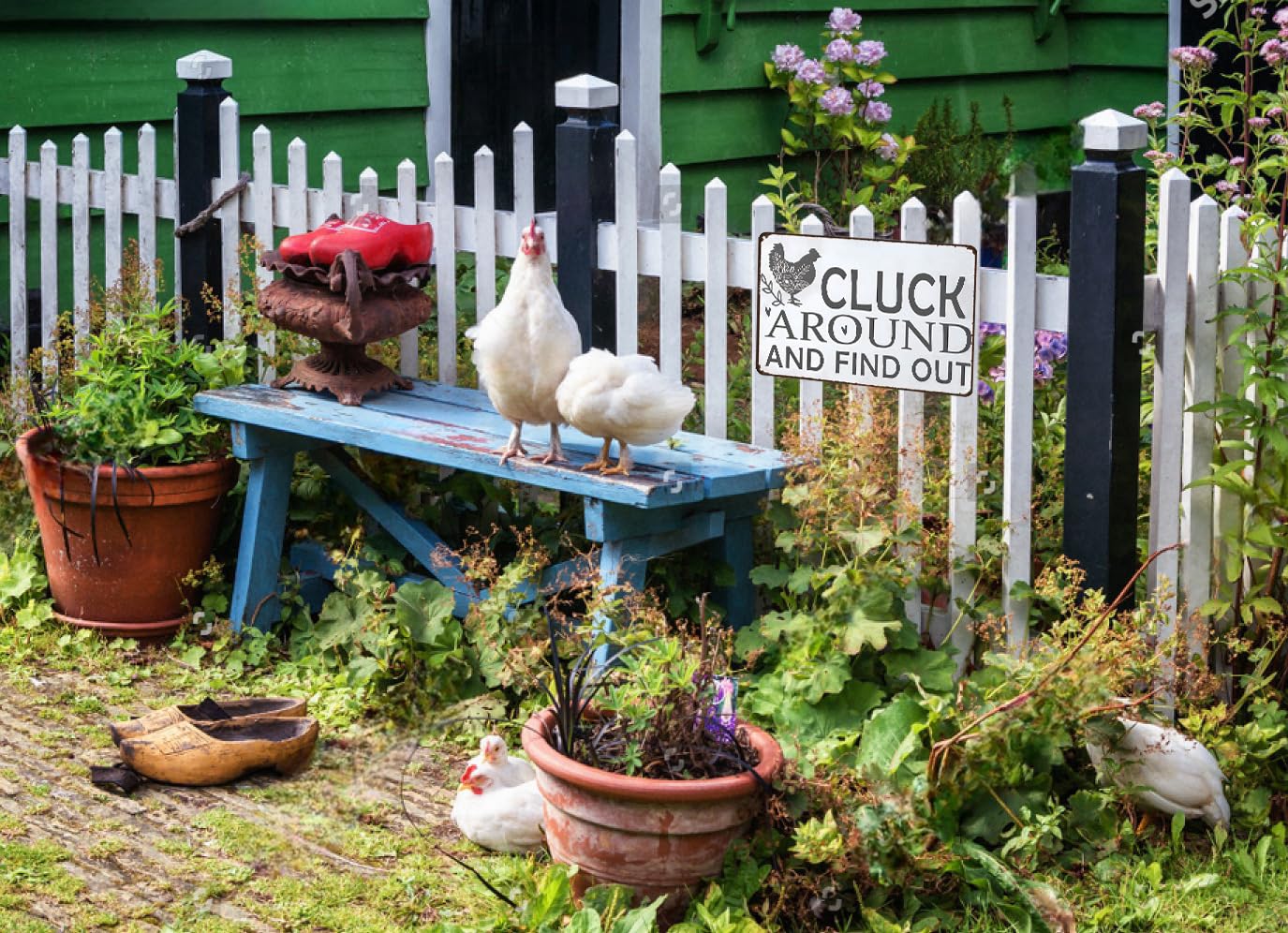 Funny Chicken Cluck Around and Find Out Tin Sign for Home Farm Chicken Coop Farmhouse Kicthen Garden Decor 8 X 12 Inch (3020) - DigiVirt