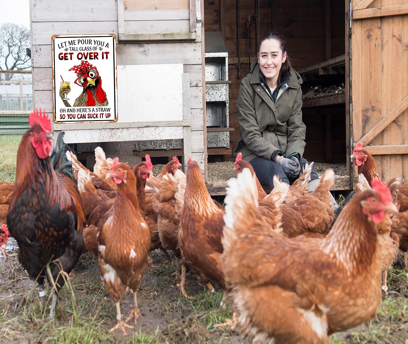 Funny Chicken Cluck Around and Find Out Tin Sign for Home Farm Chicken Coop Farmhouse Kicthen Garden Decor 8 X 12 Inch (3020) - DigiVirt