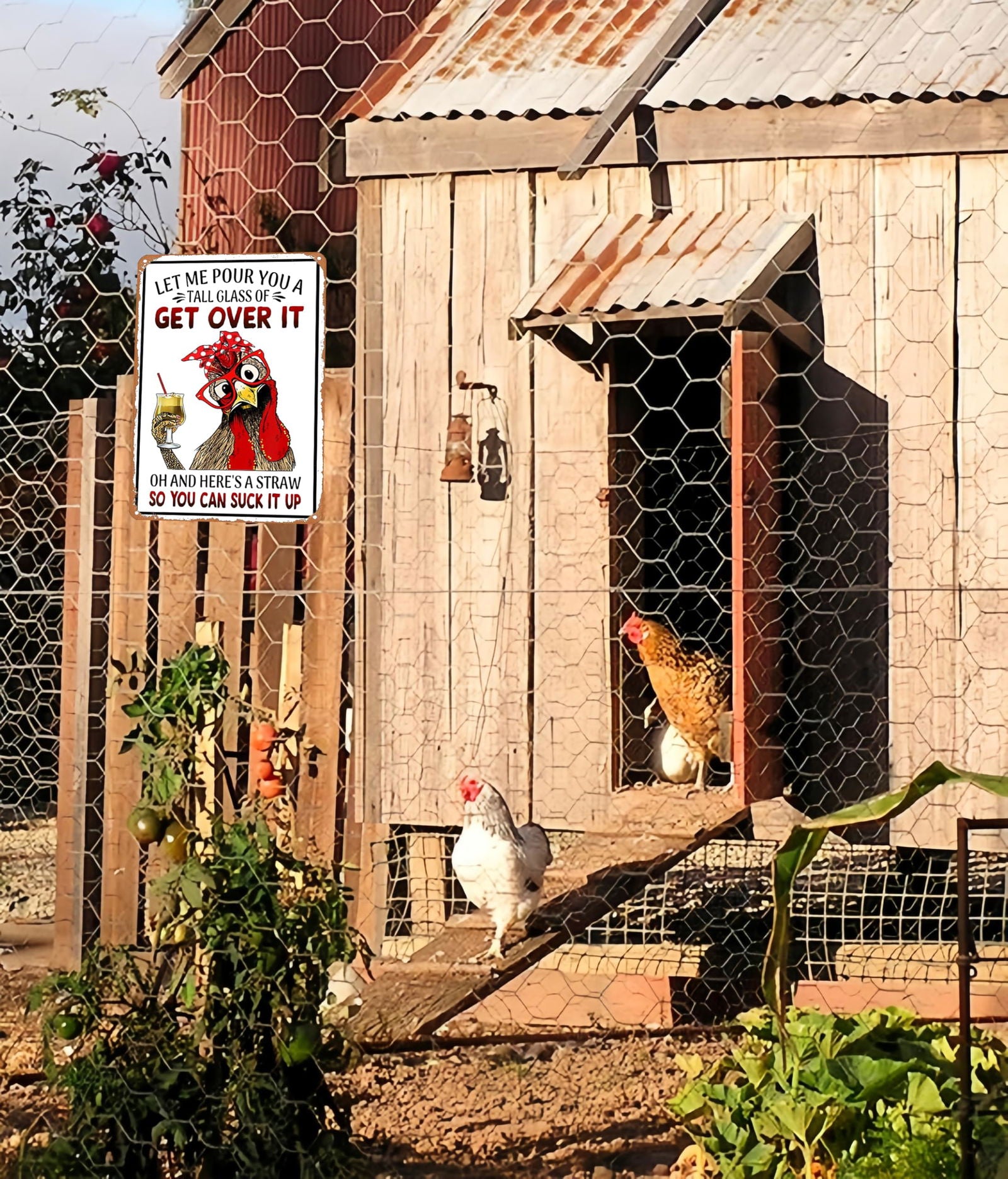 Funny Chicken Cluck Around and Find Out Tin Sign for Home Farm Chicken Coop Farmhouse Kicthen Garden Decor 8 X 12 Inch (3020) - DigiVirt