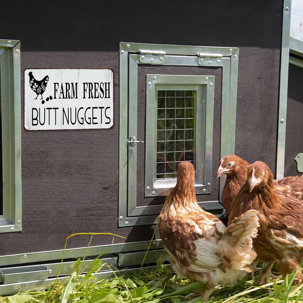 Funny Chicken Cluck Around and Find Out Tin Sign for Home Farm Chicken Coop Farmhouse Kicthen Garden Decor 8 X 12 Inch (3020) - DigiVirt