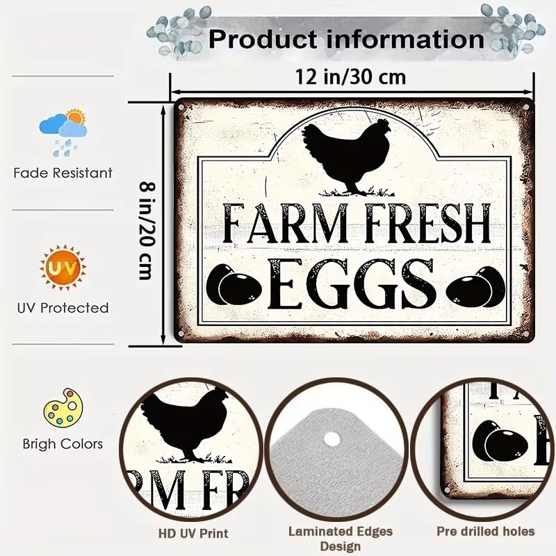 Funny Chicken Cluck Around and Find Out Tin Sign for Home Farm Chicken Coop Farmhouse Kicthen Garden Decor 8 X 12 Inch (3020) - DigiVirt