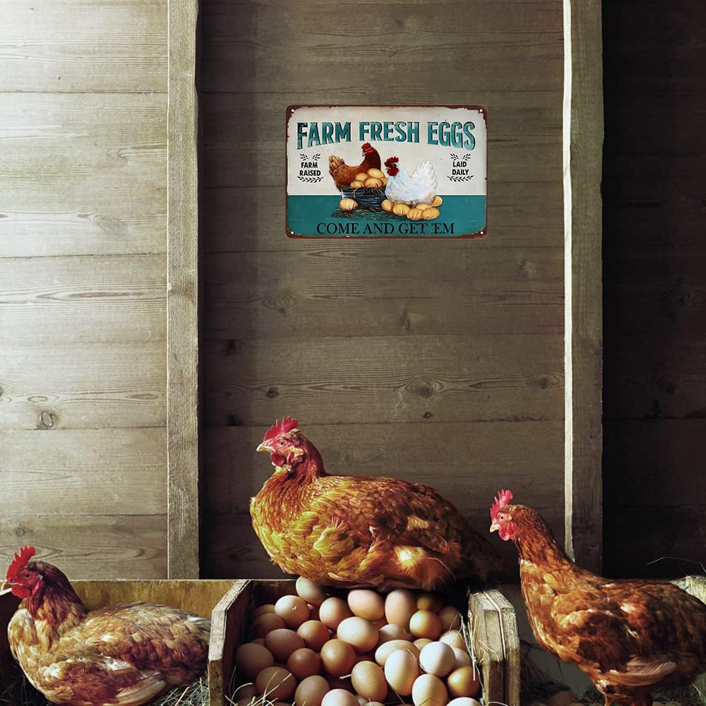 Funny Chicken Cluck Around and Find Out Tin Sign for Home Farm Chicken Coop Farmhouse Kicthen Garden Decor 8 X 12 Inch (3020) - DigiVirt