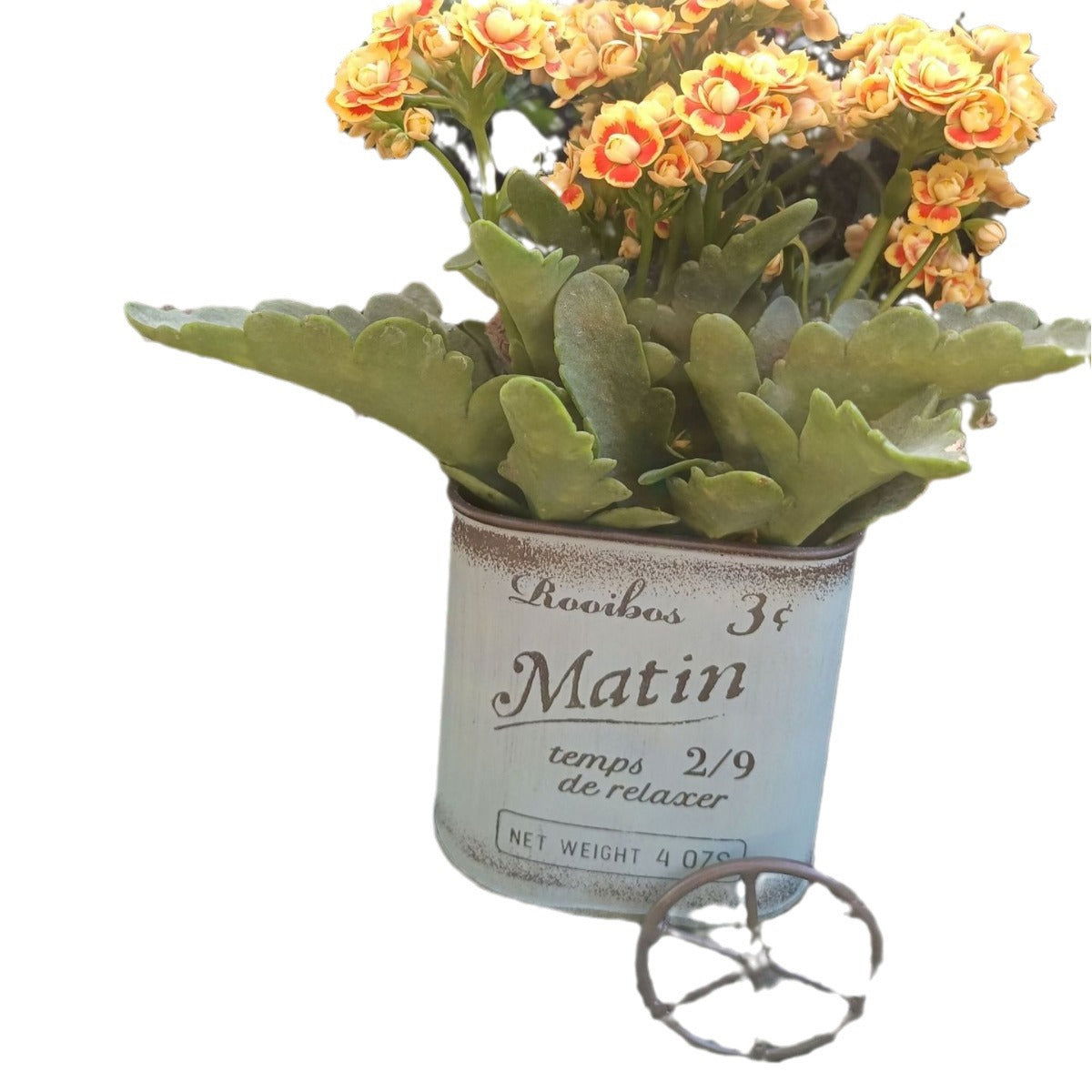 Ins Japanese And Korean Retro Bicycle Flower Pot Courtyard Balcony Decoration Garden Grocery - DigiVirt