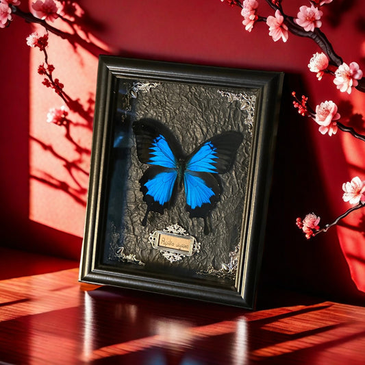 True Butterfly Specimen Photo Frame European And American Style Vintage Decorative Painting Children's DIY Photo Frame Toy Table Home Decoration Frame