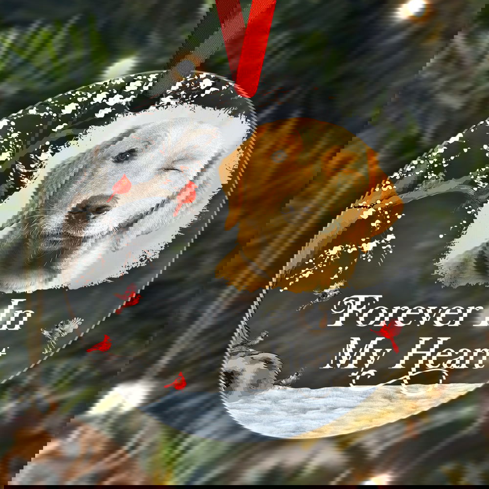 Personalized Memorial Ornament with Photo Christmas Ornament Memorial Gift for Family or Friends - DigiVirt