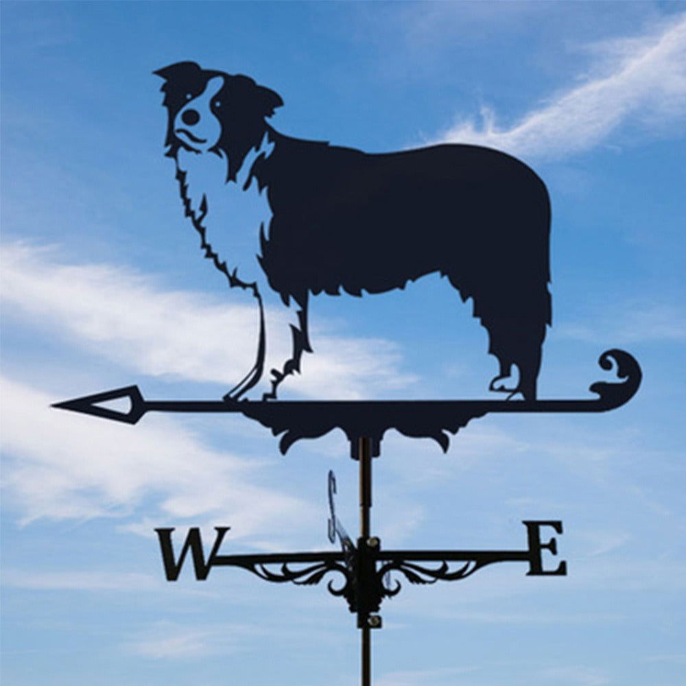 Sailing Fighter Cast Iron Weathervane - DigiVirt