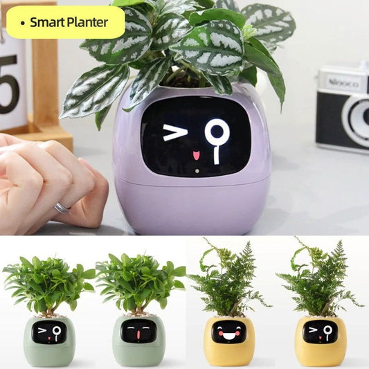 Smart Planter Endless Fun Over 49 Rich Expressions 7 Smart Sensors And AI Chips Make Raising Plants Easy And Fun - DigiVirt