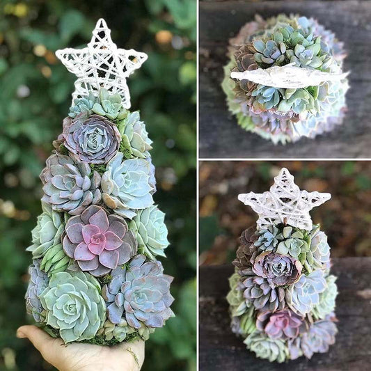 Succulent Christmas Tree Christmas Decoration Cabinet Decoration Design Succulent Resin Decoration - DigiVirt