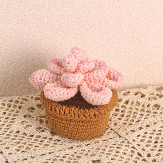 Succulent Crochet Potted Plants Completed Hand Woven Knitted Potted Plants Gift for Handicraft Lover - DigiVirt
